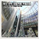 제주리움 | 부산 만덕 대형카페 카엘리움 빵지순례 메뉴 주차 가족들과 가족 여행