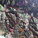 곡성-125 이미지