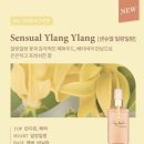 일랑일랑 스테이 이미지