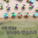 동해파전