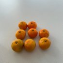 🧡🤍💛낭만찾아 떠난 밀양 해브솔 당일피크닉 (오후반)🍂🥔🏕