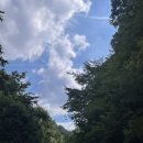 상옥할인마트 이미지