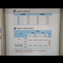 궁촌레일바이크펜션 | [강원/삼척] 늦여름휴가 삼척 1박2일 레일바이크 갈남항 스노쿨링🤿🐟🐠