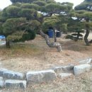 삼일공사 이미지