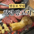 [영등포맛집] 영등포 현지인 맛집 핫램양고기 내돈내산 후기(작업일, 한정 통갈비, 주차, 핫램 메뉴)