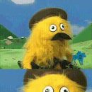 에멜시