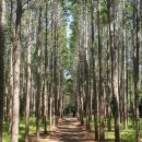 영해농장 이미지