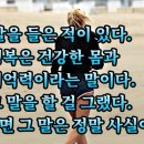 착한지구인 이미지