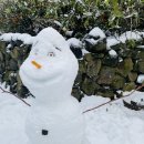 물소낭밧작은집 이미지