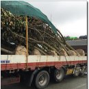 벌교철망 이미지