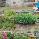 우경농원 이미지