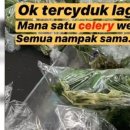 남성쇼핑(슈퍼) 이미지