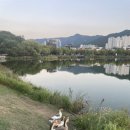 준브로 이미지