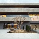 그린밸리 골프클럽 | 크리스밸리 골프클럽 라운드 후기 (2025.11.22)