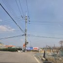 숲실제1농로 | 김해 목련숲 지금 가야 합니다… 주차부터 위치까지 실시간 후기