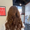 아스콧헤어 이미지