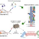 나노홀릭 이미지