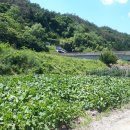 계천배수장 이미지