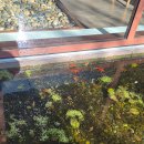 송림고등학교 | [분당]또간집 이매 커피 맛집 종화