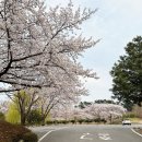 사회복지법인 여수애양병원 이미지