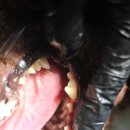 신현동물병원 이미지