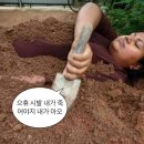 요모조모 네이버블로그