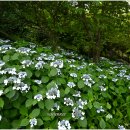 유달산 조각공원 이미지
