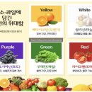 코스큐어 이미지