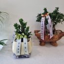 정평 행정사 사무소 이미지