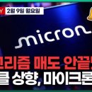 테라메딕스 이미지