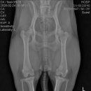 척척 동물의료센터 이미지