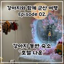 GS25 나운우진점 | 군산 호텔 추천, 은파호수공원 근처 강아지 동반 가능한 호텔 나운