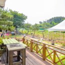 다옴리조트펜션 이미지