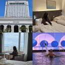 충청대로 | 국내 5성급 호텔 호캉스 청주 엔포드호텔 숙박 후기