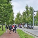 롯데골프 | klpga 2025 롯데오픈 골프대회 갤러리 후기