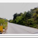 원주굽이길 2코스 700년 노송길 이미지