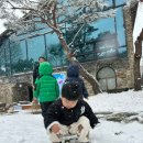 삼광어린이집 이미지