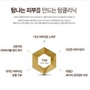 그린셀 이미지