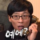 프롬데이지 이미지