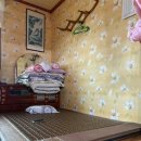 한골민박 이미지