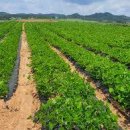 용진환경 이미지