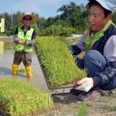 소만공원 이미지