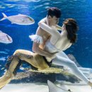 왕자식당 이미지