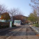 농업기술센터(좌) Daum카페