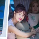 개이쁨 이미지