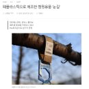 대진환경 이미지