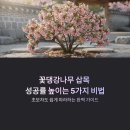 용토농장 | 꽃댕강나무 삽목 성공률 높이는 5가지 비법: 초보 가이드