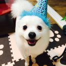 대박이2 이미지