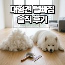 대형견 털 빠짐 수준 솔직 후기 : 상상 그 이상을 보게 될 것입니다