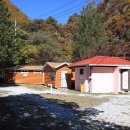 개미들솔향기야영장 이미지